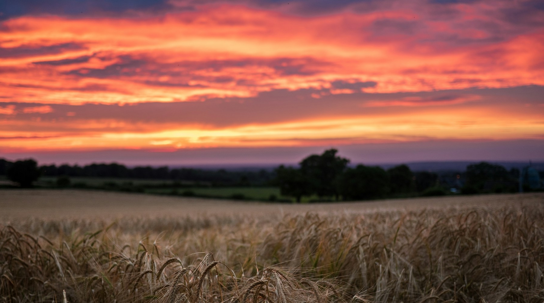 Funding Available to Help Farmers Finance New Cooperatives