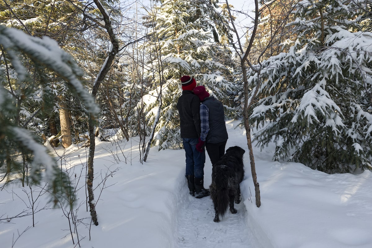 Don, 75, and Patricia, 62, have invested 95 per cent of their money in stocks. Is it time to diversify?